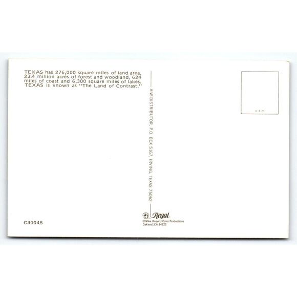 Greetings From Texas Map Postcard Armadillo Longhorn Blue Bonnets Chrome Regal - Picture 2 of 2